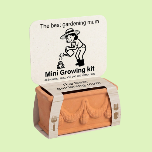 Best Mum seasonal growing kit