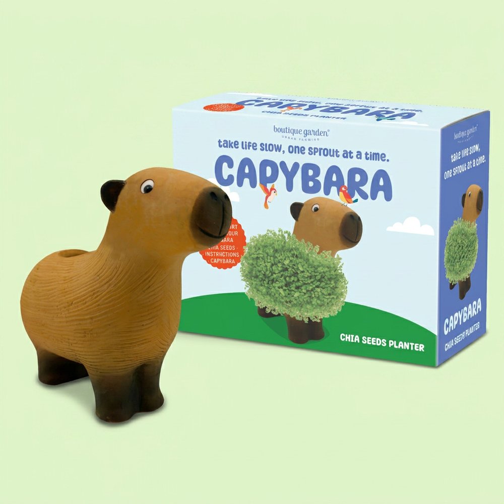 Capybara chia seeds planter growing kit