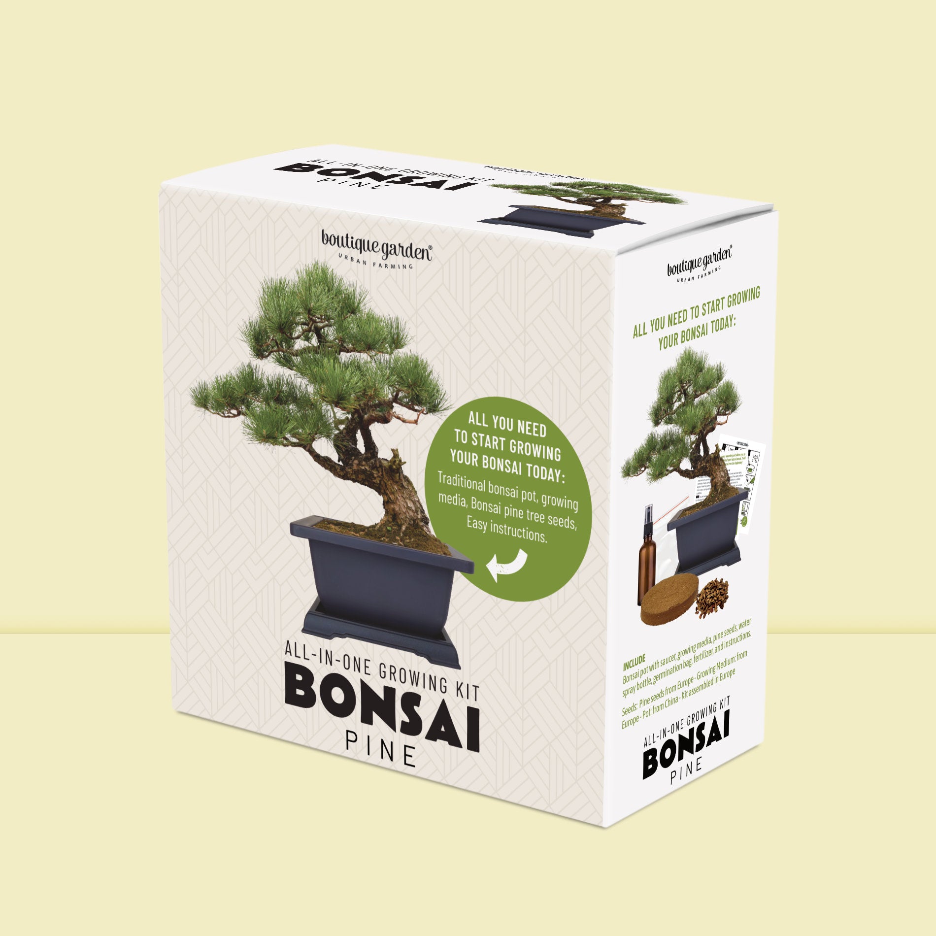 Packaging du kit bonsaï pour débutant. Coffret cadeau élégant pour l'art du bonsaï.