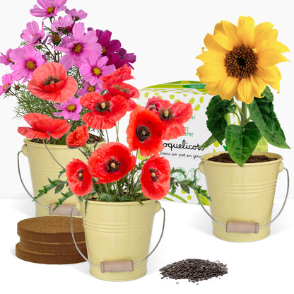 Cadeau Kit jardinage, trio de fleurs, coquelicots, tournesols, cosmos