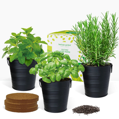 Cadeau kit jardinage, herbes aromatiques basilic romarin et menthe