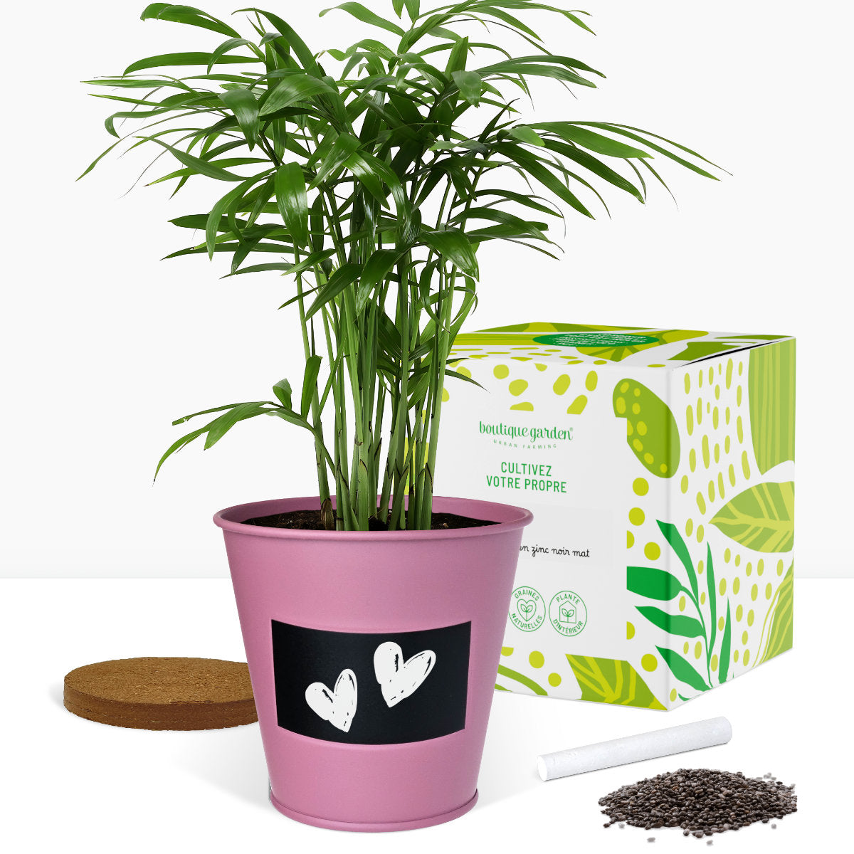 Cadeau Kit jardinage, plantes d’intérieurs, faites pousser votre palmier et votre fougère