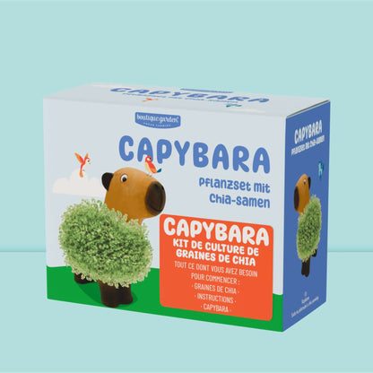 Offrez l'esprit zen du Capybara - kit de culture Capybara avec graines de chia et instructions, décoration amusante.