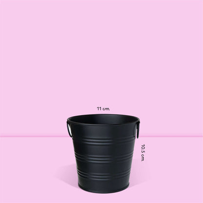Kit jardinage facile Cultiver des herbes aromatiques menthe pot en zinc noir mat au style moderne