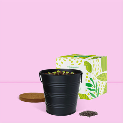 Contenu du Kit jardinage prêt à pousser herbes aromatiques menthe Boutique Garden avec pot zinc noir mate déco et emballage décoratif cadeau