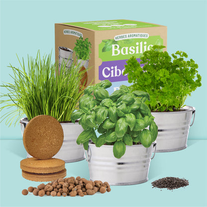 Kit jardinage prêt à pousser herbes aromatiques avec pots, graines, substrat et billes d'argile