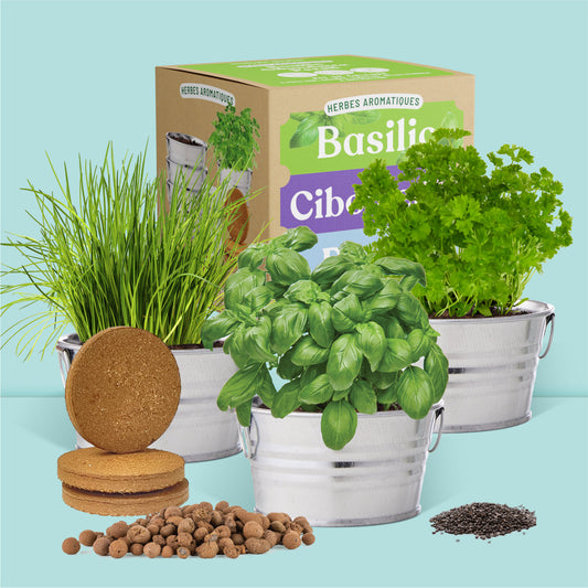 Kit jardinage prêt à pousser herbes aromatiques avec pots, graines, substrat et billes d'argile