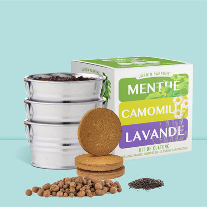 Coffret prêt à pousser jardin parfumé avec pots, graines, billes d'argile, substrat et emballage cadeau décoratif