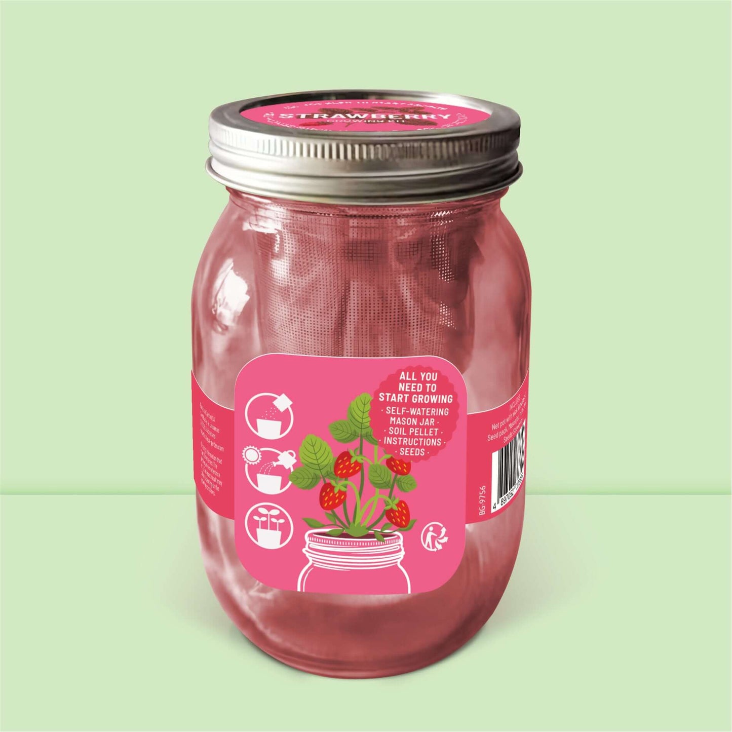 Dos du kit fraisier autonome : instructions de montage pour culture de fruits en intérieur.