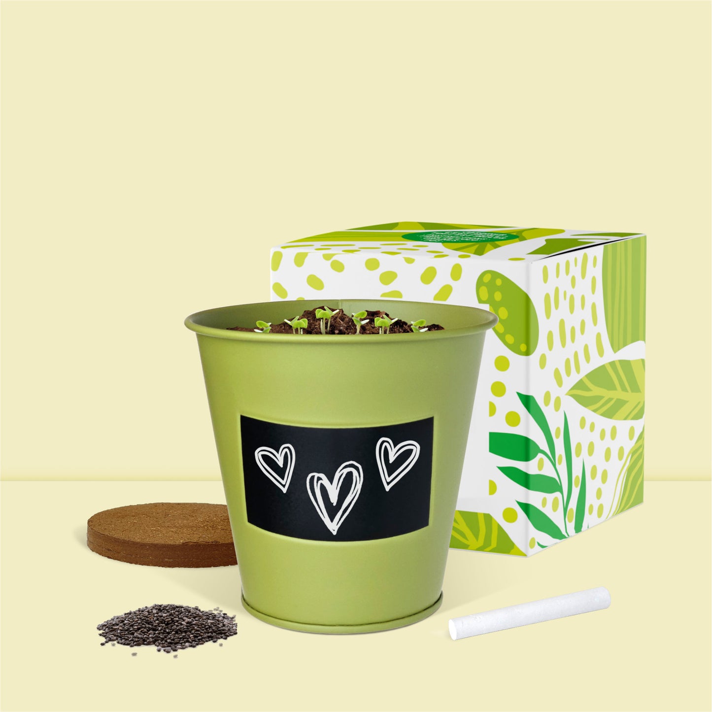  Contenu du Kit jardinage prêt à pousser plantes d'intérieur fougère Asparagus Boutique Garden en pot zinc