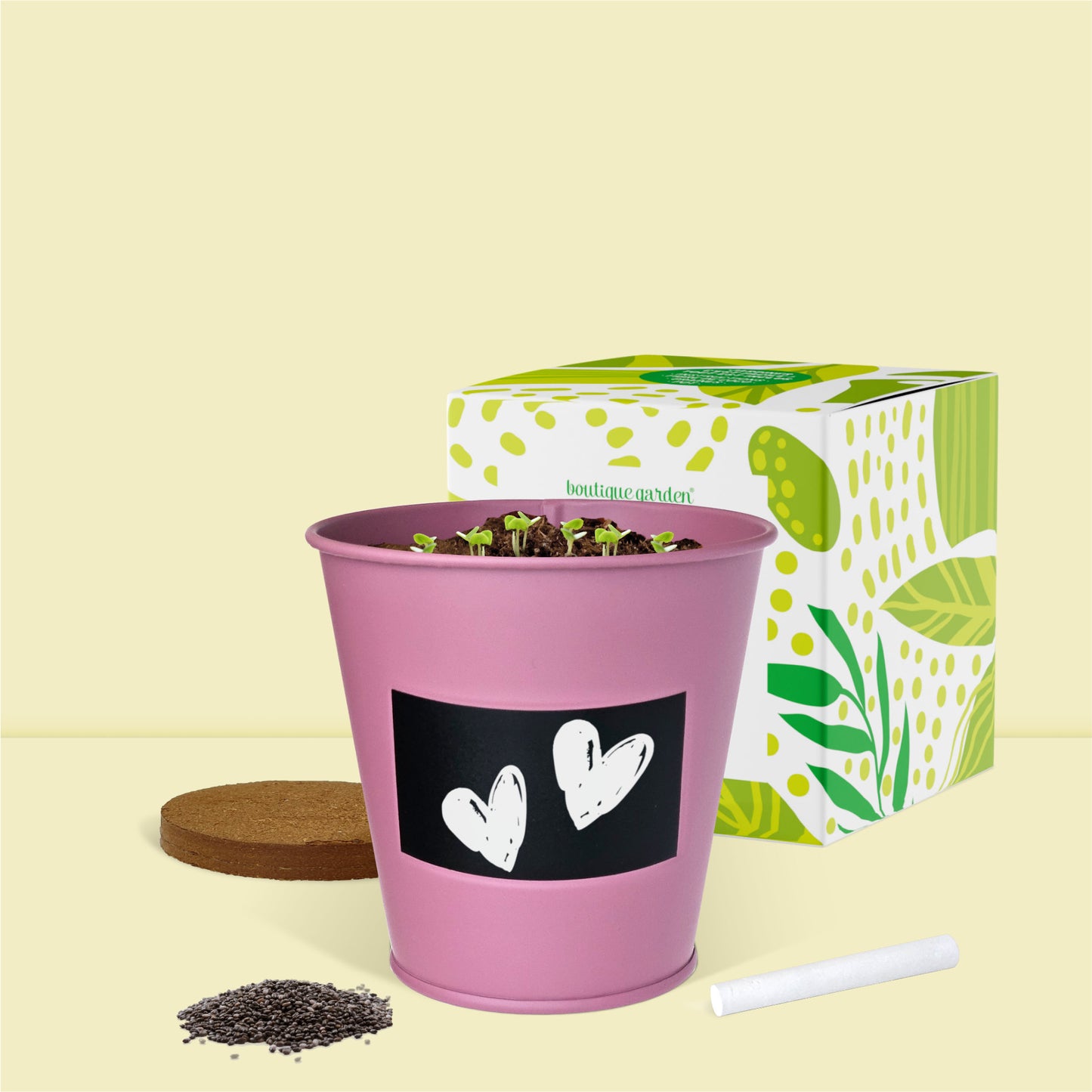 Faites pousser un palmier chez vous avec ce kit jardinage déco complet Boutique Garden
