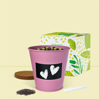 Faites pousser un palmier chez vous avec ce kit jardinage déco complet Boutique Garden
